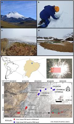 The microbiome of the ice-capped Cayambe Volcanic Complex in Ecuador